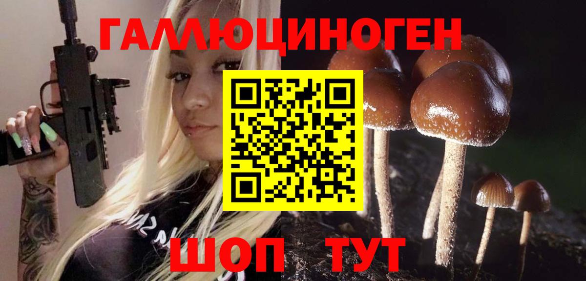 Нижневартовск  Галлюциногенные грибы Psilocybe  Вход с VPN 